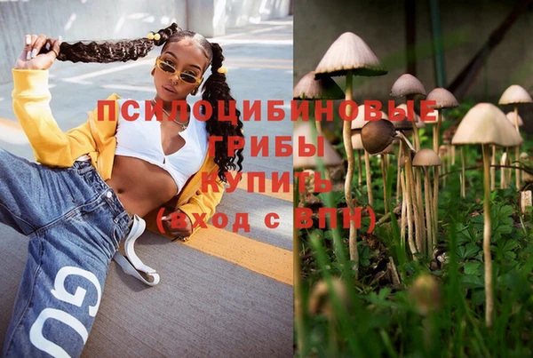 СК Бугульма