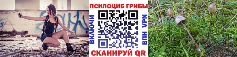 Галлюциногенные грибы мицелий  Снежинск 